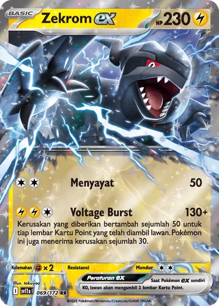 Zekrom ex (Black & White 069/172)