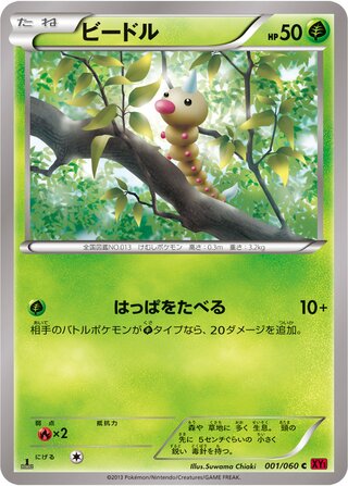 Weedle (Collection Y 001/060)