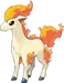 Ponyta