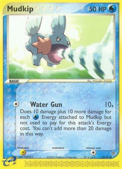 65/97 Mudkip DR Common