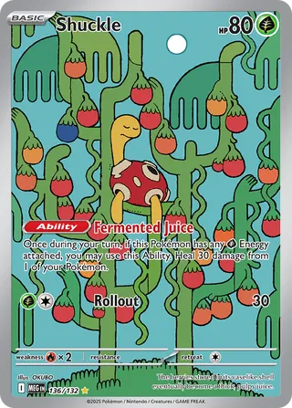 136/132 Shuckle MEG Illustration Rare
