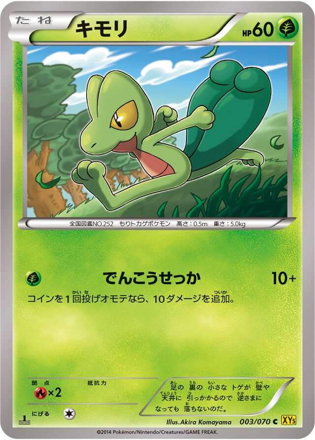 003/070 Treeckoキモリ C