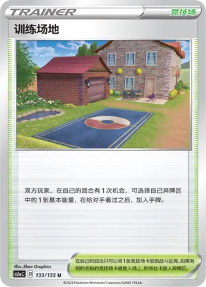Training Court (Dynamax Clash (Thunder) 133/135)