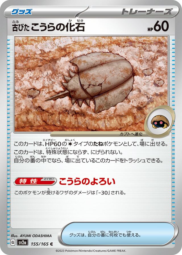 155/165 Antique Dome Fossil古びたこうらの化石 C