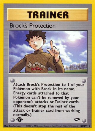 Brock's Protection (Gym Challenge 101/132)