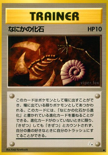 Mysterious Fossilなにかの化石 Mystery of the Fossils化石の秘密