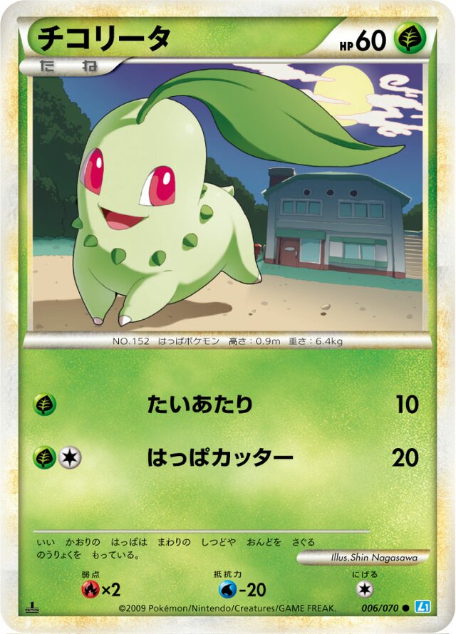006/070 Chikoritaチコリータ Common