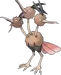 Dodrio