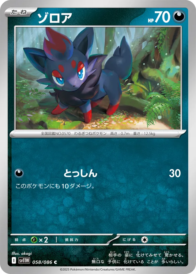 Zoruaゾロア 9 White Flareホワイトフレア 058/086 C