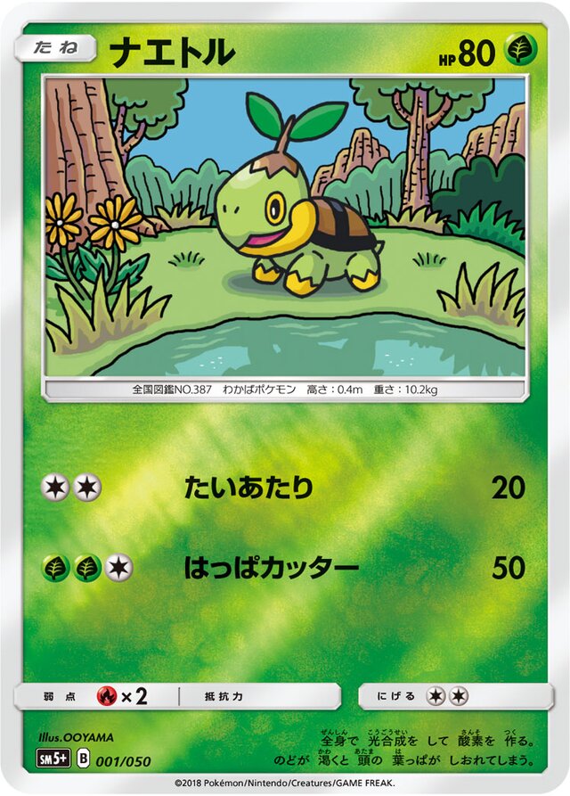 001/050 Turtwigナエトル —