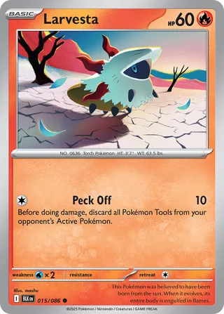 Search quizzo's Pokémon cards – TCG Collector