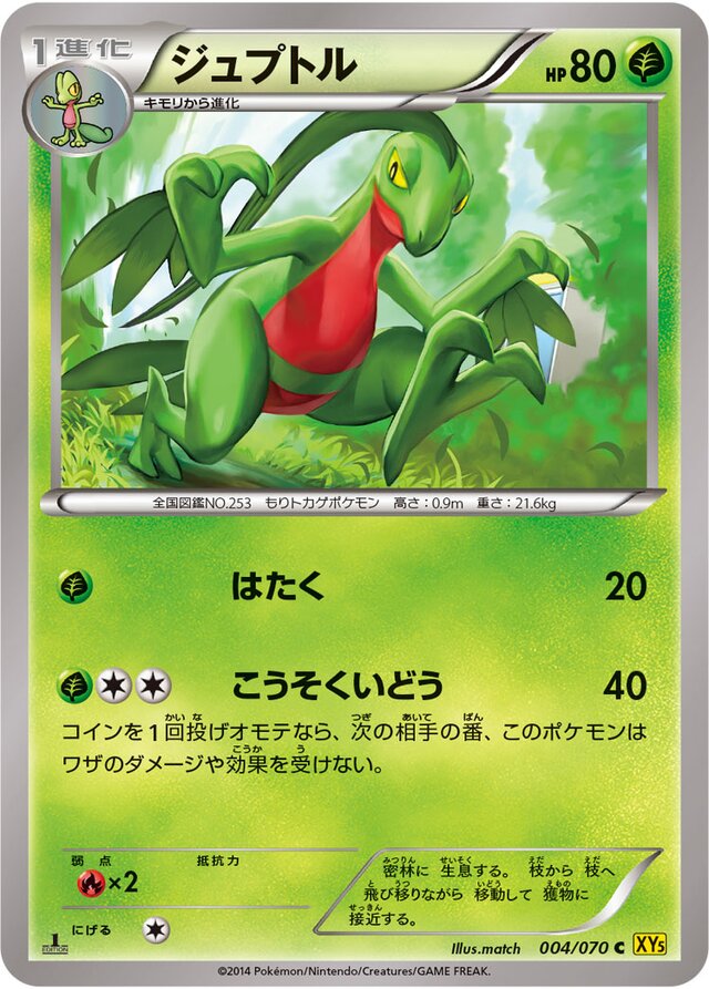 004/070 Grovyleジュプトル C