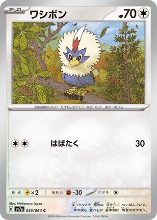 Rufflet (Paradise Dragona 049/064)