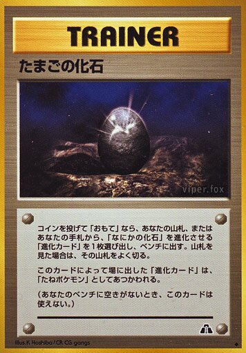 Fossil Eggたまごの化石 Crossing the Ruins遺跡いせきをこえて