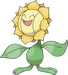 Sunflora