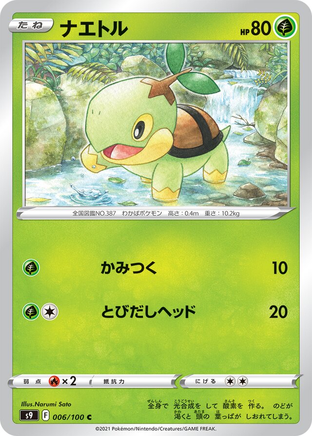 006/100 Turtwigナエトル C
