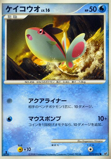 019/092 Finneonケイコウオ Common