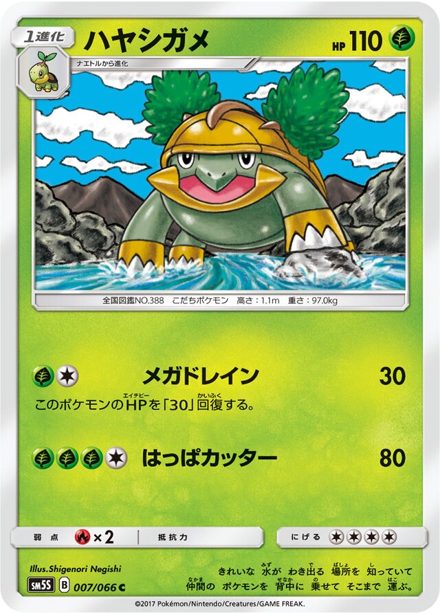 007/066 Grotleハヤシガメ C