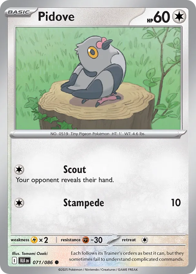 Pidove Black Bolt 071/086 Common