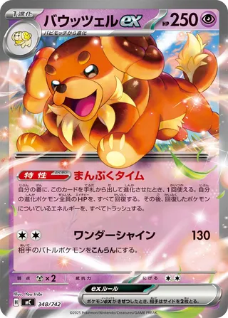 Dachsbun ex (Start Deck 100 Battle Collection 348/742)