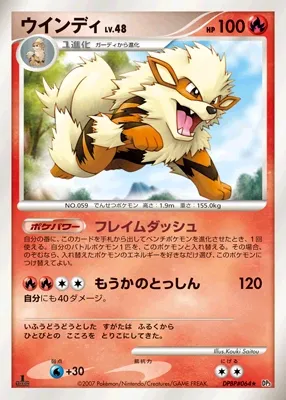 Arcanine (Shining Darkness No. 024)