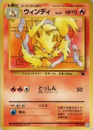 Arcanine (Intro Pack (Squirtle) 32)