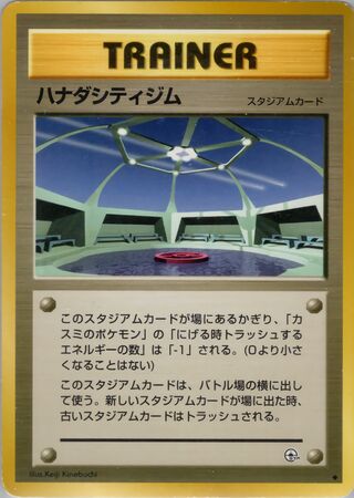 Cerulean City Gym (Leaders' Stadium No. 080)