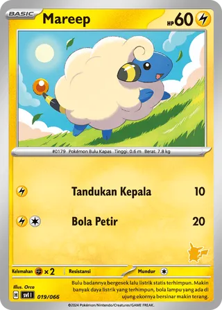 Mareep (Trainers Camp 019/066)