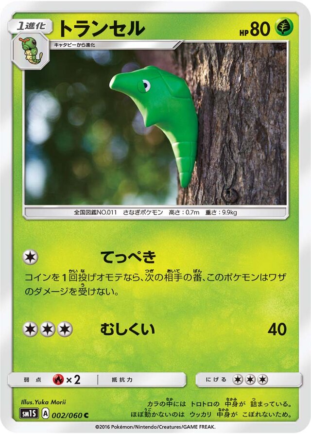 002/060 Metapodトランセル C