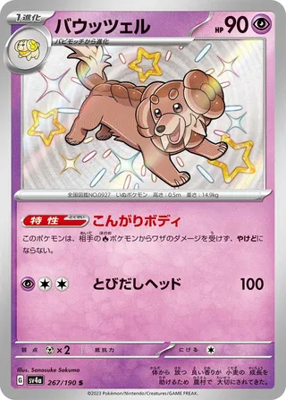 Dachsbun (Shiny Treasure ex 267/190)