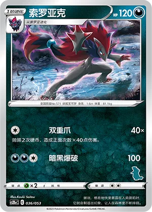 Zoroark (Family Pokémon Trading Card Game 036/053)