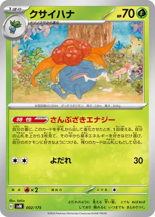 Generations Starter Decks card list (Japanese TCG) – TCG