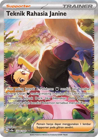 Janine's Secret Art (Terastal Festival ex 228/187)