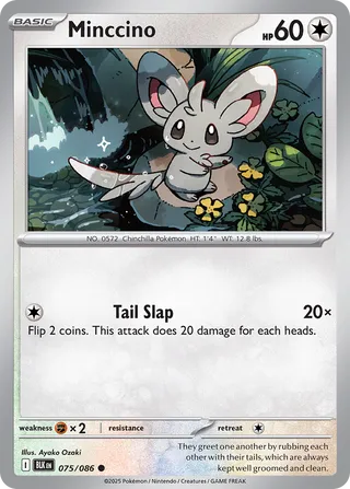 Minccino (Black Bolt 075/086)