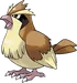 Pidgey
