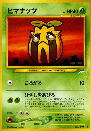 Sunkernヒマナッツ Darkness, and to Light闇,そして光へ