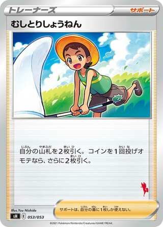 Bug Catcher (Sword & Shield Family Pokémon Card Game 053/053)