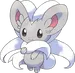 Cinccino