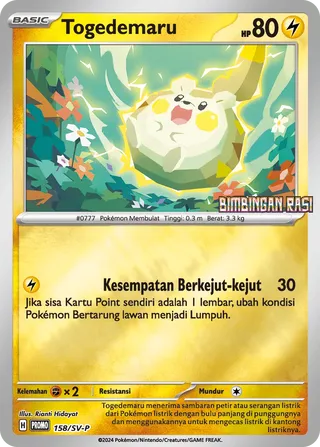 Togedemaru (Scarlet & Violet Promos 158/SV-P)