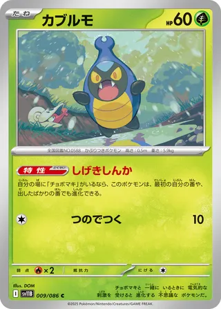 Search Equinox's Pokémon cards (Japanese TCG) – TCG Collector