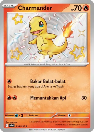 Charmander (Shiny Treasure ex 210/190)