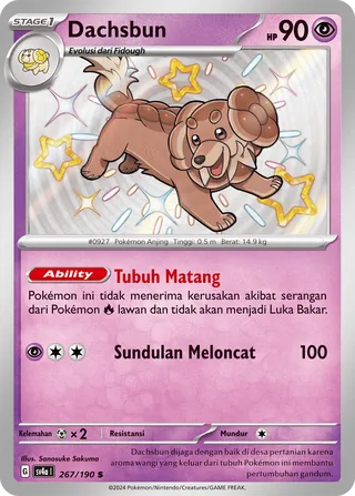 Dachsbun (Shiny Treasure ex 267/190)