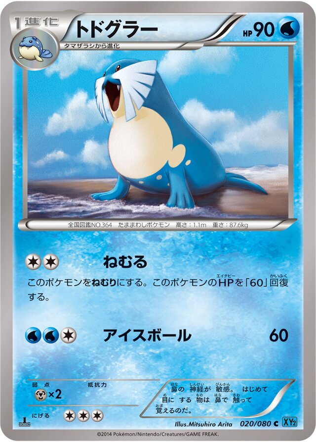 020/080 Sealeoトドグラー C