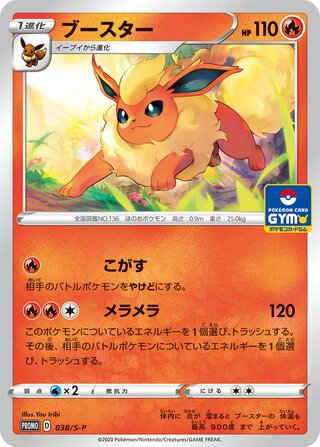 Pokemon TCG - Promo - 181/S-P (P) - Eevee