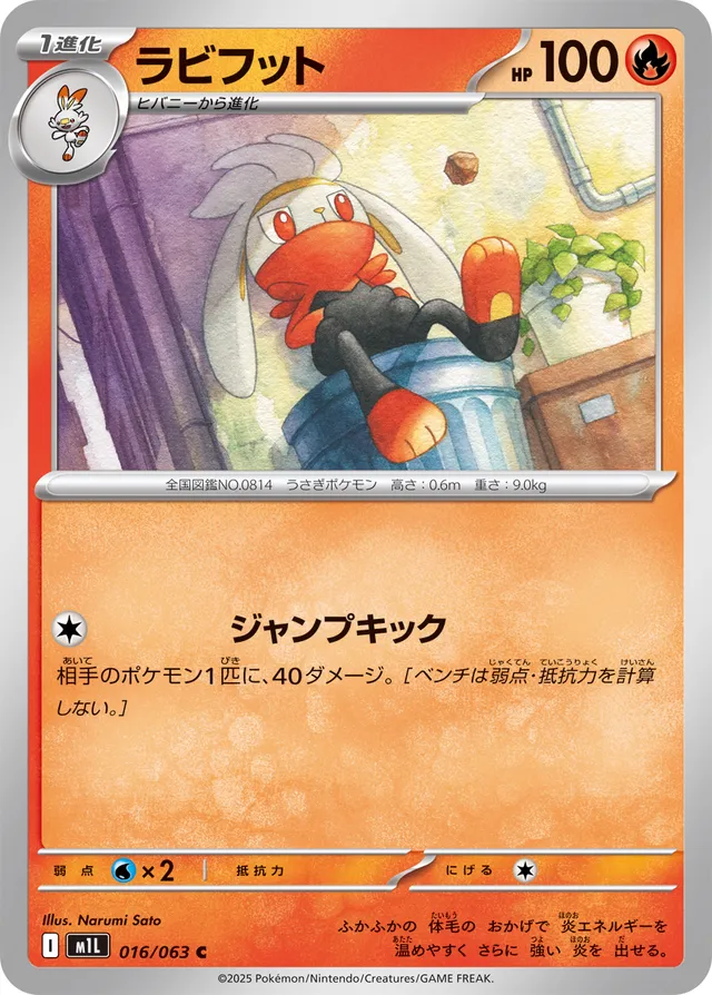 016/063 Rabootラビフット C