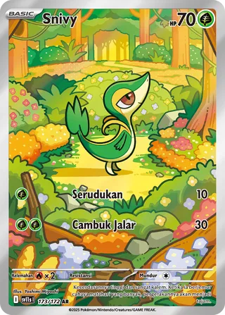 Snivy (Black & White 173/172)