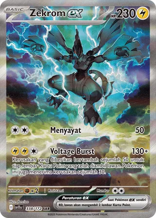 Zekrom ex (Black & White 338/172)
