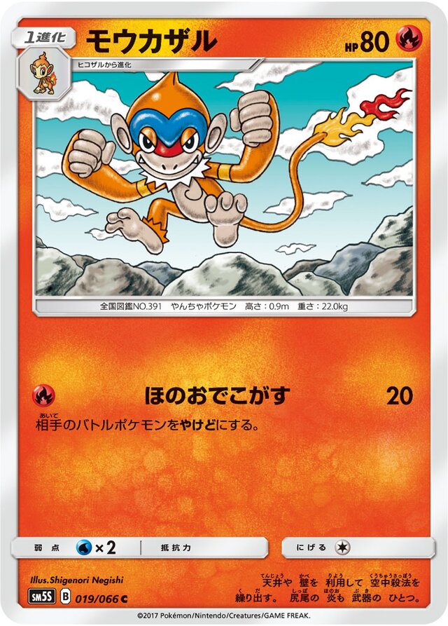 019/066 Monfernoモウカザル C