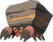 Crustle