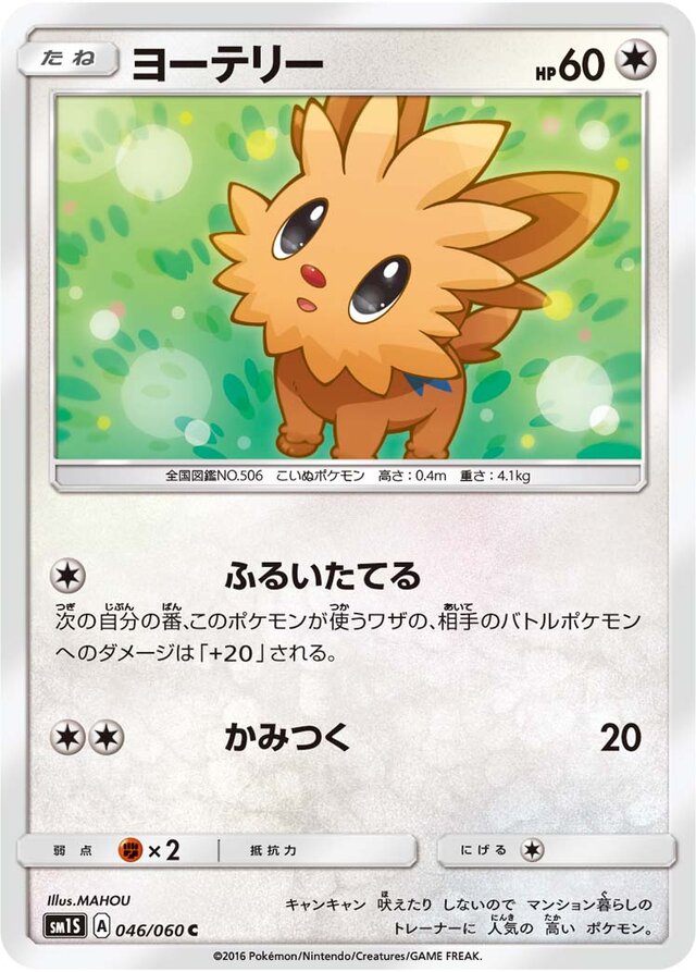 046/060 Lillipupヨーテリー C